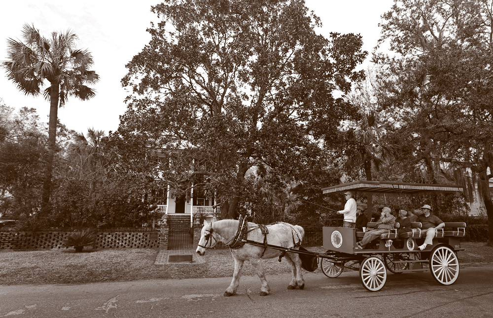 Tourists in a horse-drawn buggy.